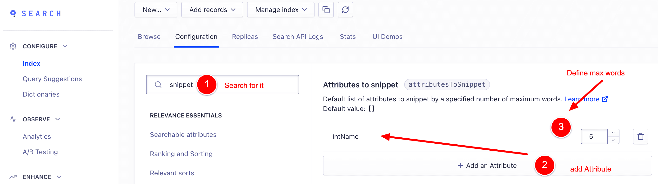 Index-Algolia-snippet