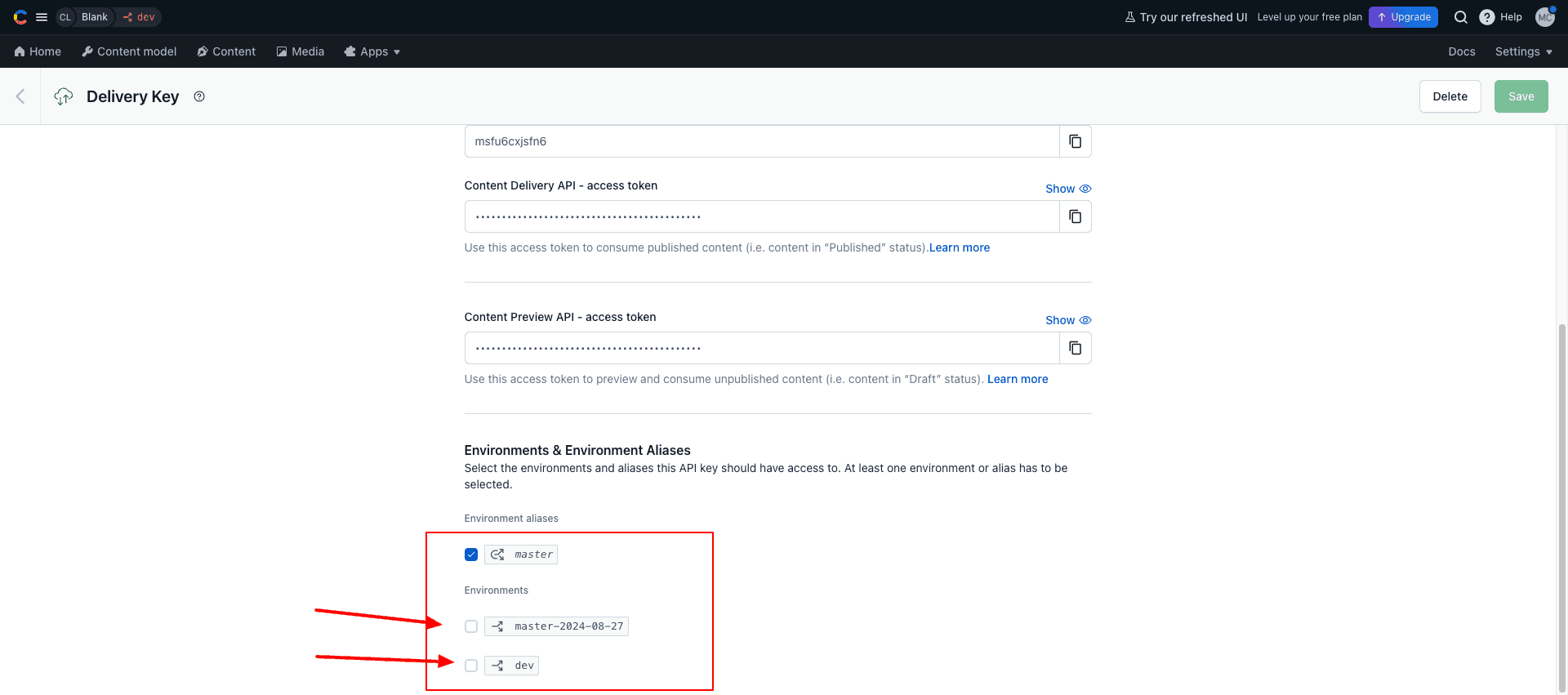 Contentful API Keys Env