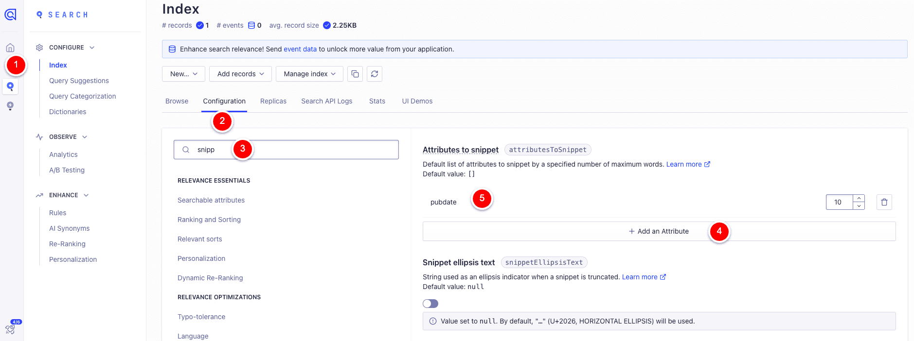 Algolia Snippet Config